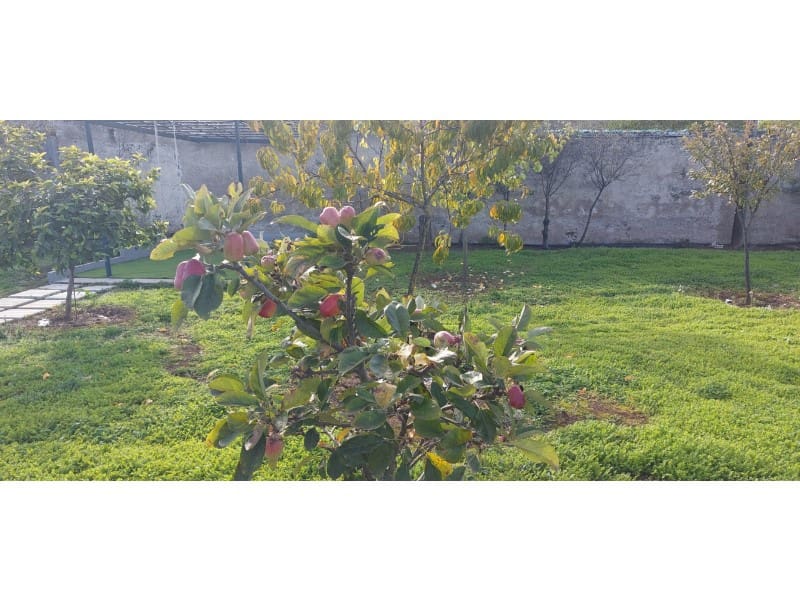 3 camera da letto Finca/Casa di Campagna in vendita in Santa Brigida con piscina garage - 349.500 € (Rif: 9640539)