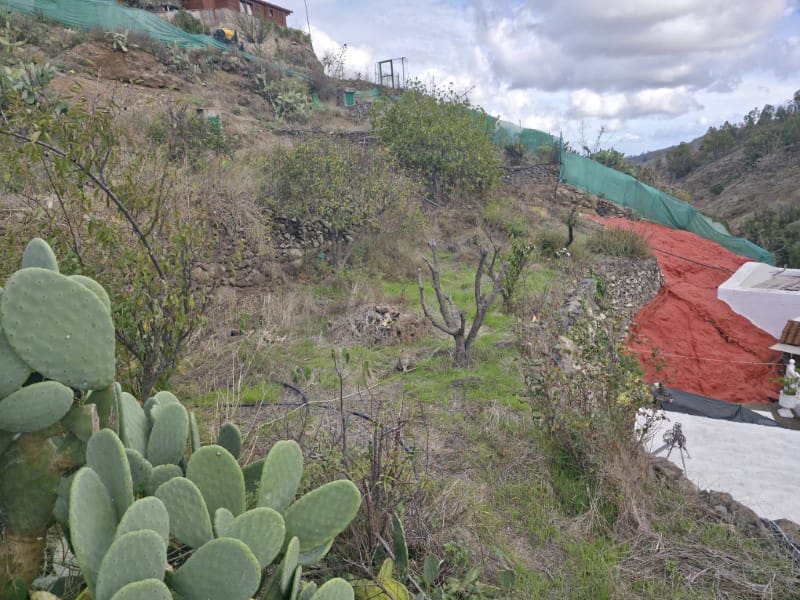 4 camera da letto Finca/Casa di Campagna in vendita in Santa Brigida - 285.000 € (Rif: 9640545)