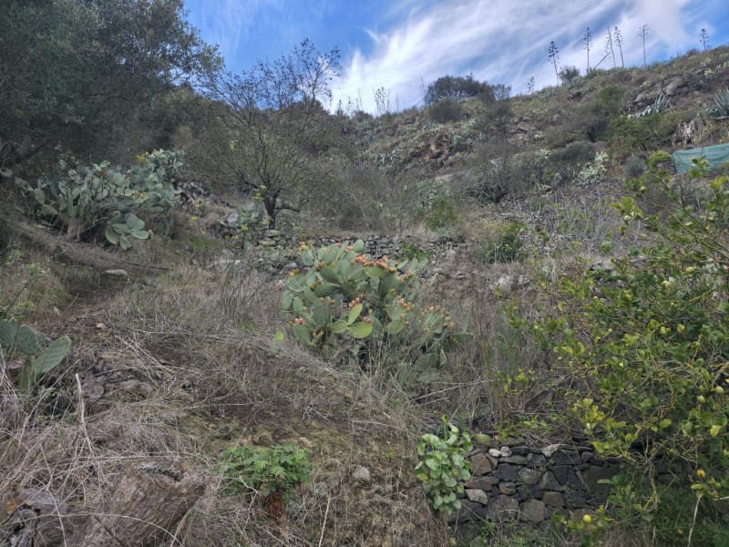 4 camera da letto Finca/Casa di Campagna in vendita in Santa Brigida - 285.000 € (Rif: 9640545)