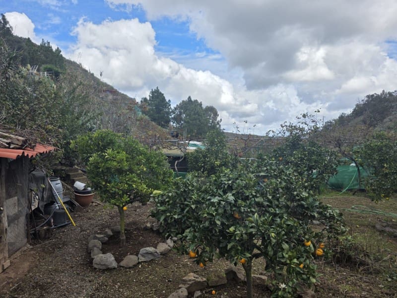 4 camera da letto Finca/Casa di Campagna in vendita in Santa Brigida - 285.000 € (Rif: 9640545)