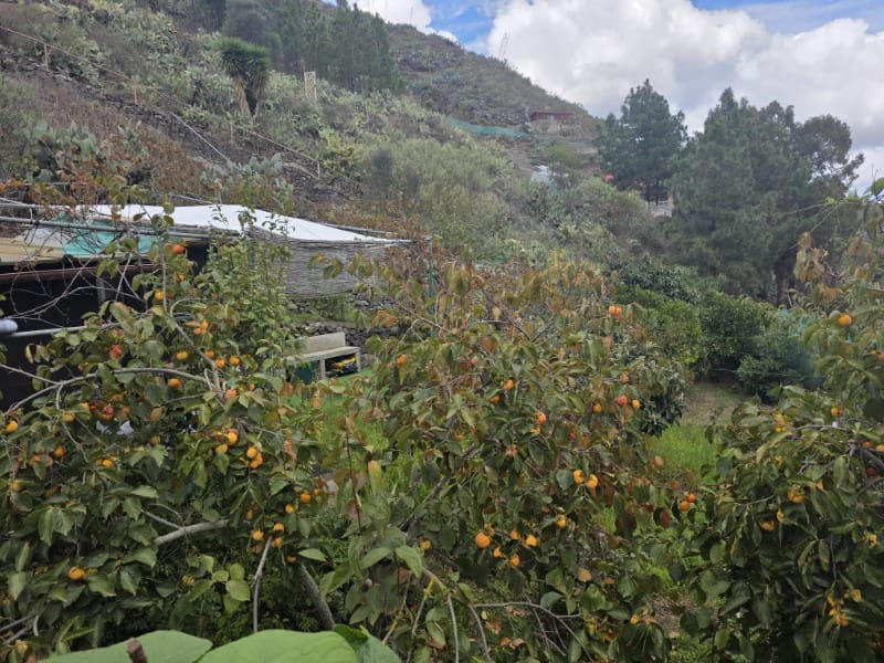 4 camera da letto Finca/Casa di Campagna in vendita in Santa Brigida - 285.000 € (Rif: 9640545)