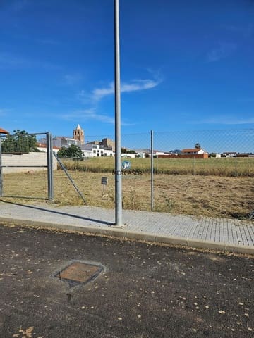 Building Plot for sale in Puebla de la Reina - € 15,000 (Ref: 9865819)