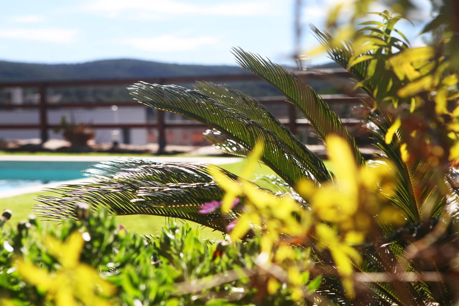 5 chambre Finca/Maison de Campagne à vendre à Begues avec piscine - 890 000 € (Ref: 9634900)