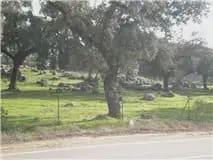 Building Plot for sale in El Real de la Jara - € 130,000 (Ref: 9784184)