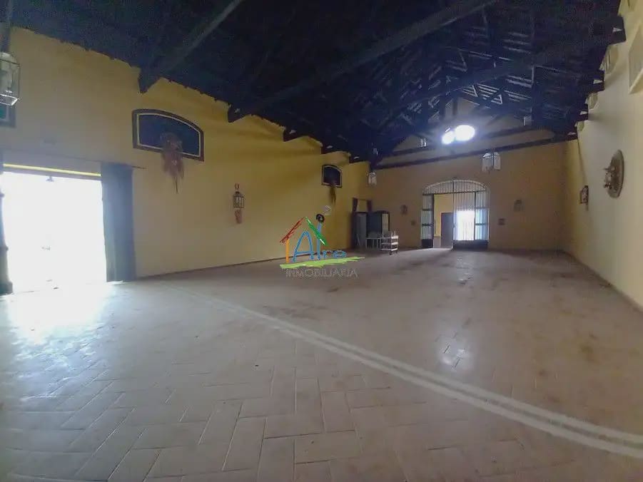 Gewerbe zu verkaufen in Almonte - 900.000 € (Ref: 9784186)