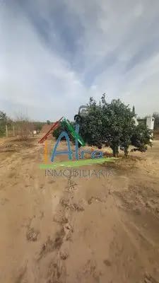 1 chambre Finca/Maison de Campagne à vendre à Almonte - 37 000 € (Ref: 9784198)