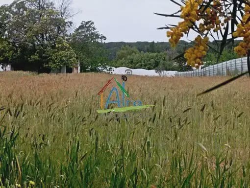 Undeveloped Land for sale in Almonte - € 43,000 (Ref: 9784234)