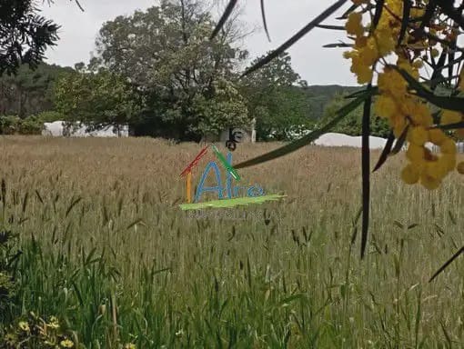 Undeveloped Land for sale in Almonte - € 43,000 (Ref: 9784234)