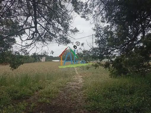 Undeveloped Land for sale in Almonte - € 43,000 (Ref: 9784234)