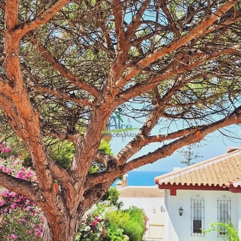 3 camera da letto Villetta Bifamiliare in vendita in Almonte con garage - 350.000 € (Rif: 9784237)