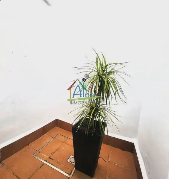 3 camera da letto Villetta a Schiera in vendita in Almonte con piscina - 300.000 € (Rif: 9784241)