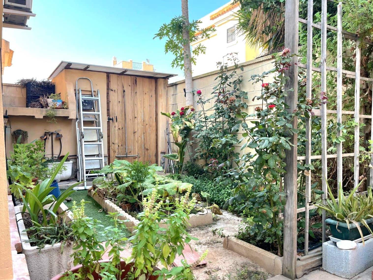 Pareado de 4 habitaciones en Rojales en venta con piscina garaje - 228.000 € (Ref: 10004419)