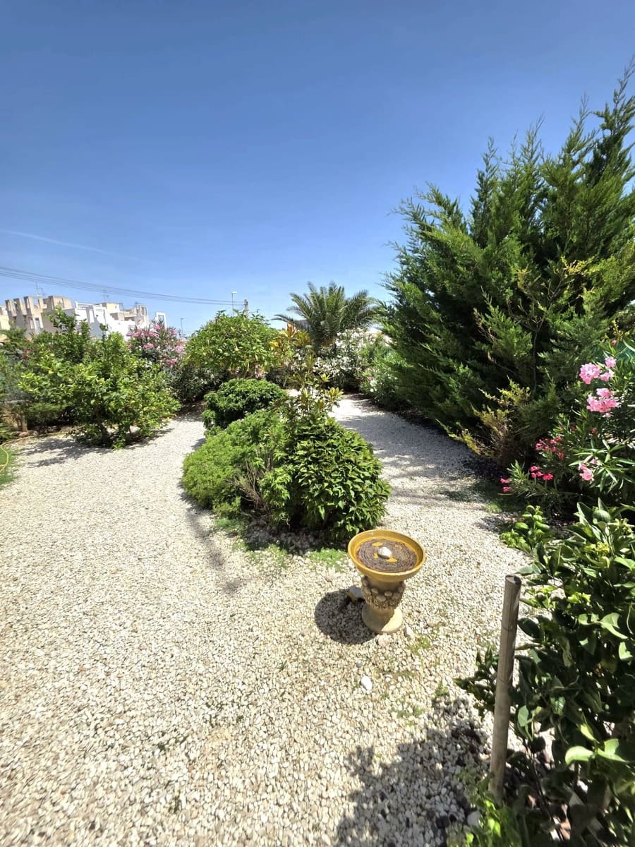2 chambre Bungalow à vendre à Torrevieja avec piscine - 149 000 € (Ref: 10005065)