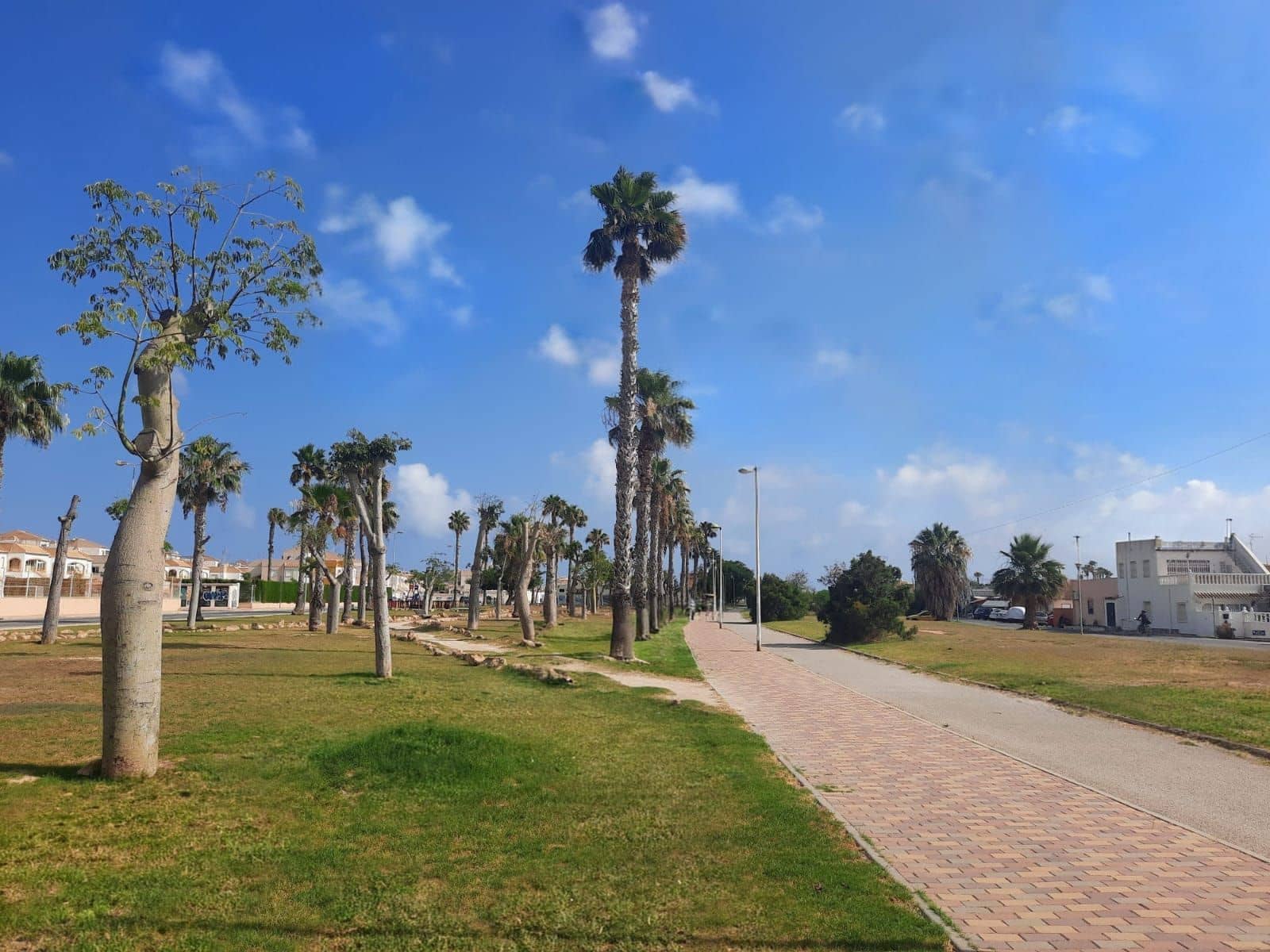 2 chambre Bungalow à vendre à Torrevieja avec piscine - 149 000 € (Ref: 10005065)