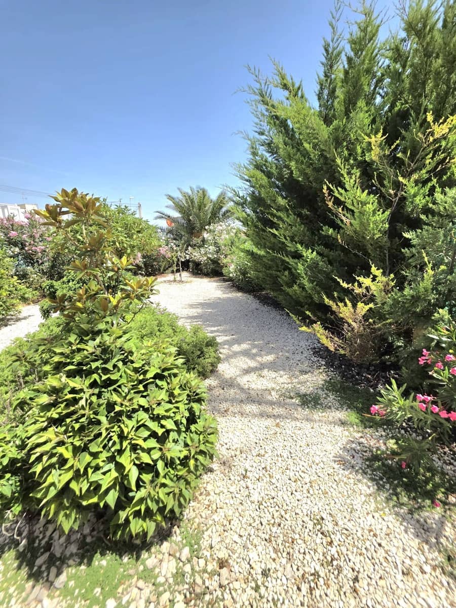 2 chambre Bungalow à vendre à Torrevieja avec piscine - 149 000 € (Ref: 10005065)