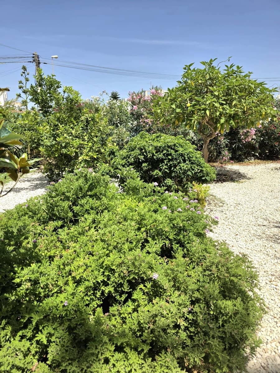 2 chambre Bungalow à vendre à Torrevieja avec piscine - 149 000 € (Ref: 10005065)