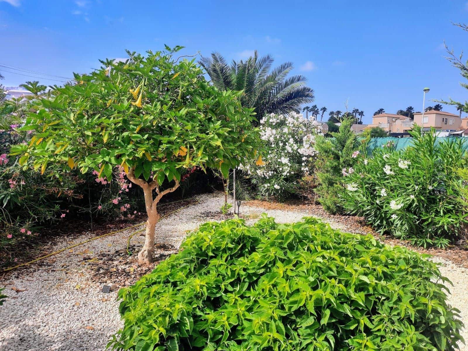 2 chambre Bungalow à vendre à Torrevieja avec piscine - 149 000 € (Ref: 10005065)