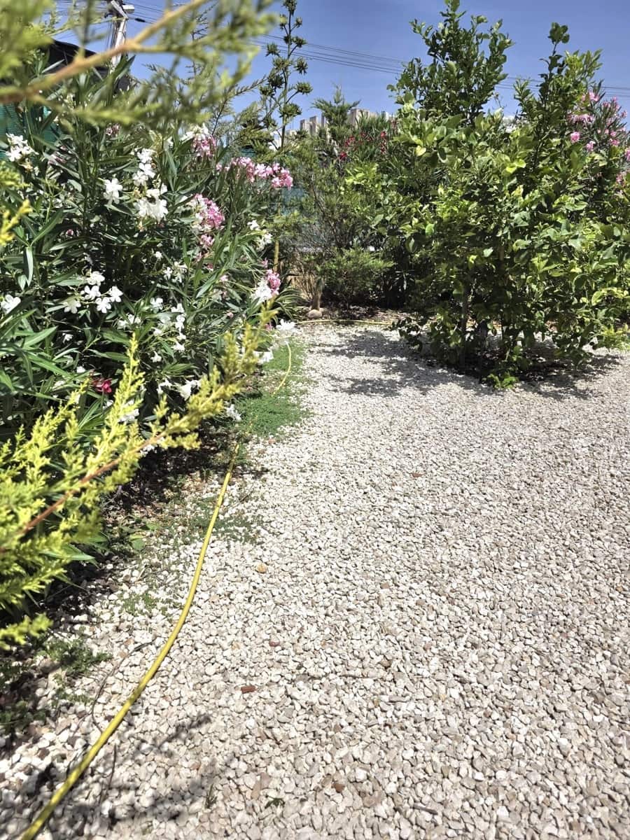 2 chambre Bungalow à vendre à Torrevieja avec piscine - 149 000 € (Ref: 10005065)