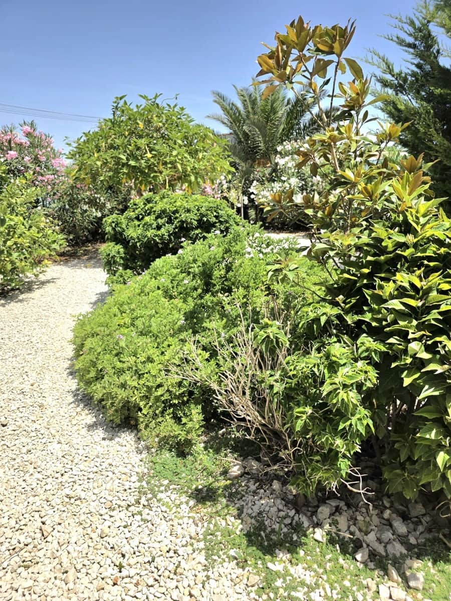 2 chambre Bungalow à vendre à Torrevieja avec piscine - 149 000 € (Ref: 10005065)