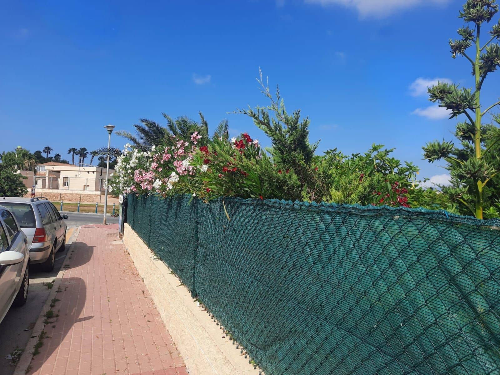 2 chambre Bungalow à vendre à Torrevieja avec piscine - 149 000 € (Ref: 10005065)