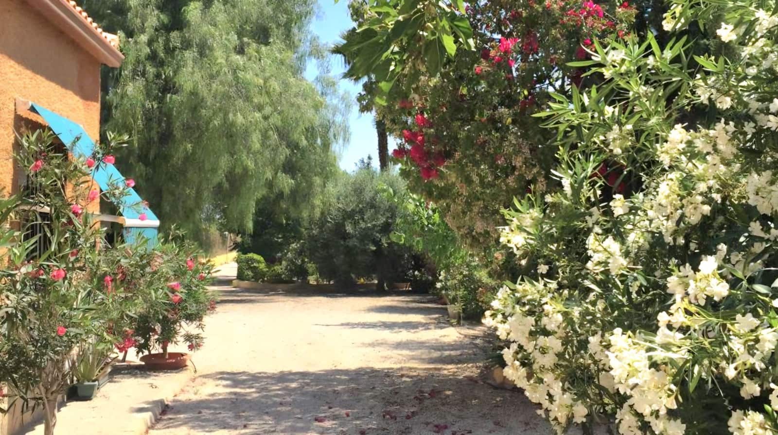 Finca/Casa Rural de 4 habitaciones en Crevillente / Crevillent en venta con piscina garaje - 380.000 € (Ref: 10010343)