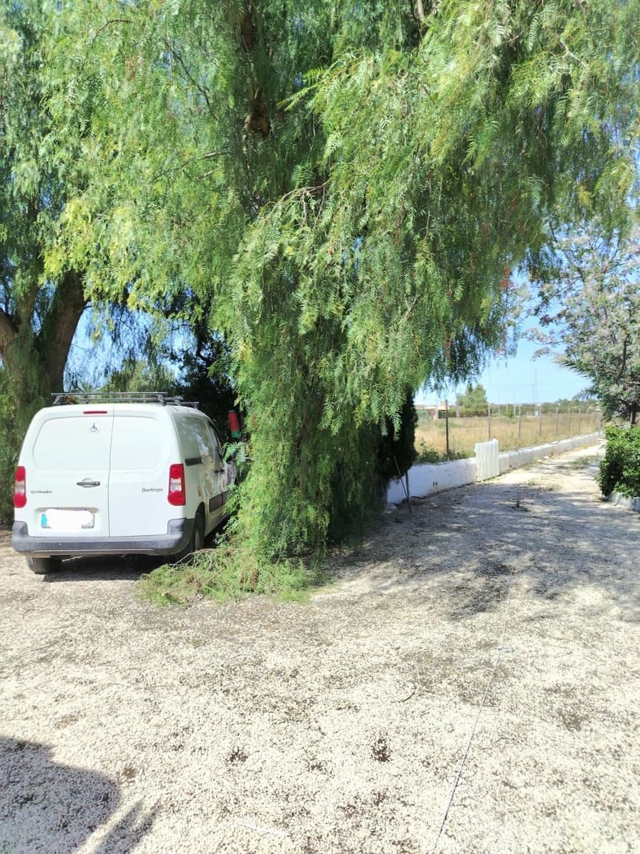 Finca/Casa Rural de 4 habitaciones en Crevillente / Crevillent en venta con piscina garaje - 380.000 € (Ref: 10010343)