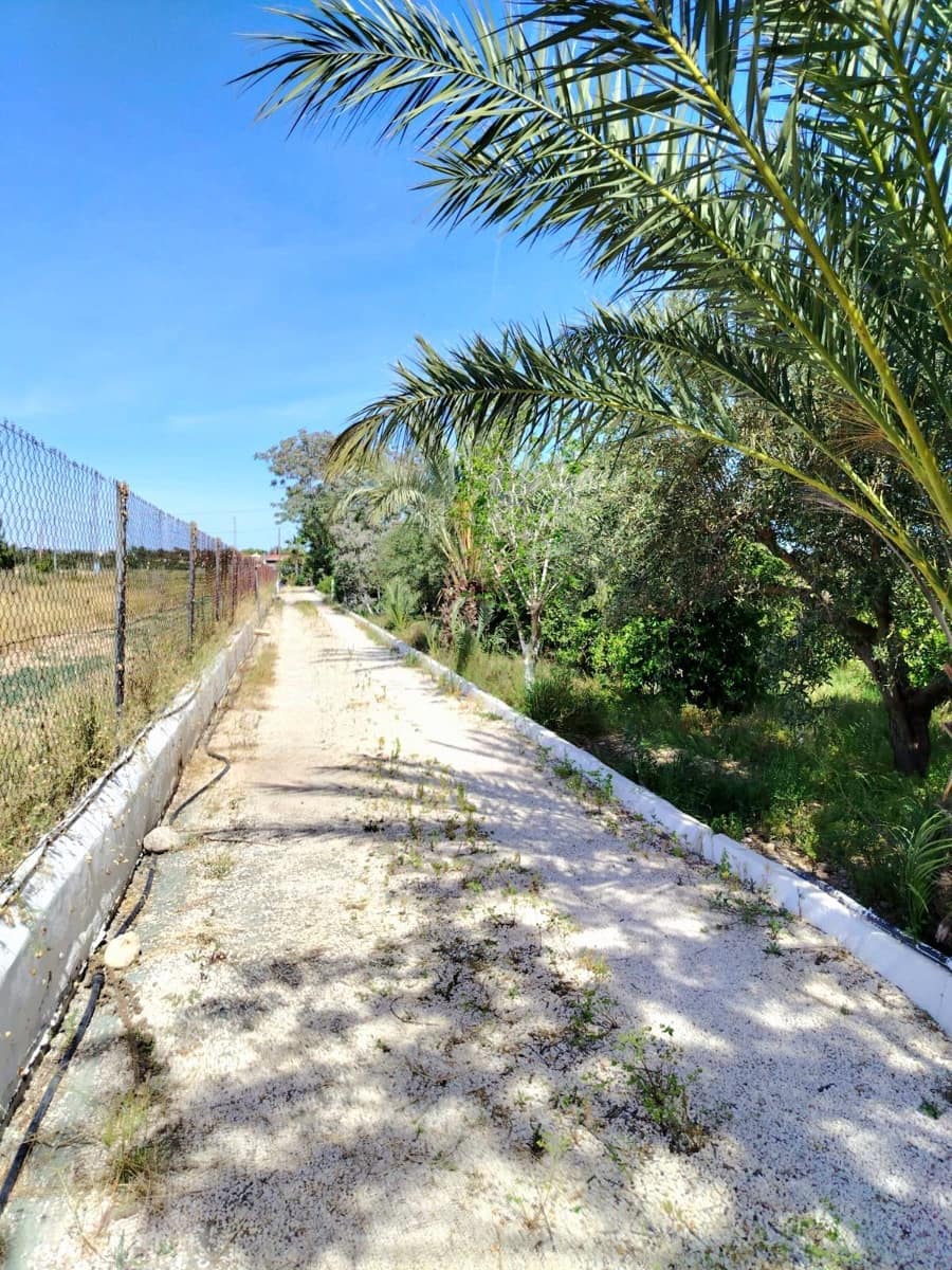 Finca/Casa Rural de 4 habitaciones en Crevillente / Crevillent en venta con piscina garaje - 380.000 € (Ref: 10010343)