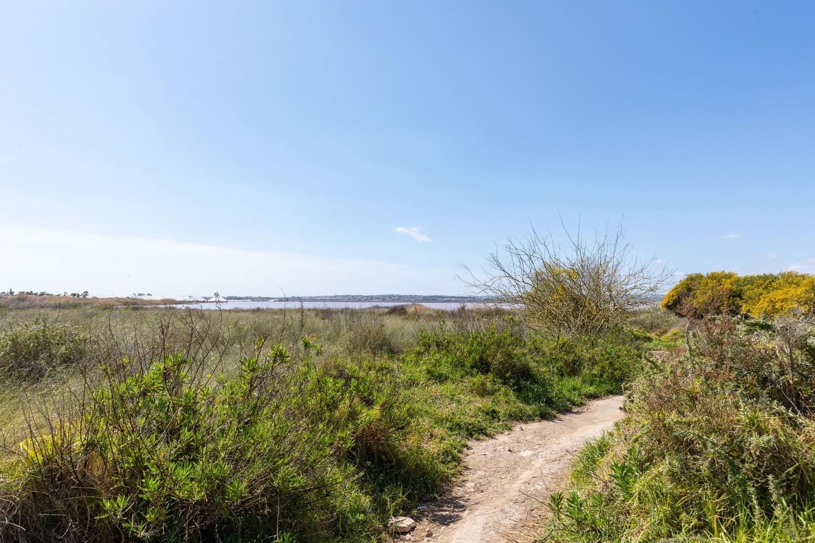 2 soverom Bungalow til salgs i Torrevieja med svømmebasseng - € 134 990 (Ref: 10037882)