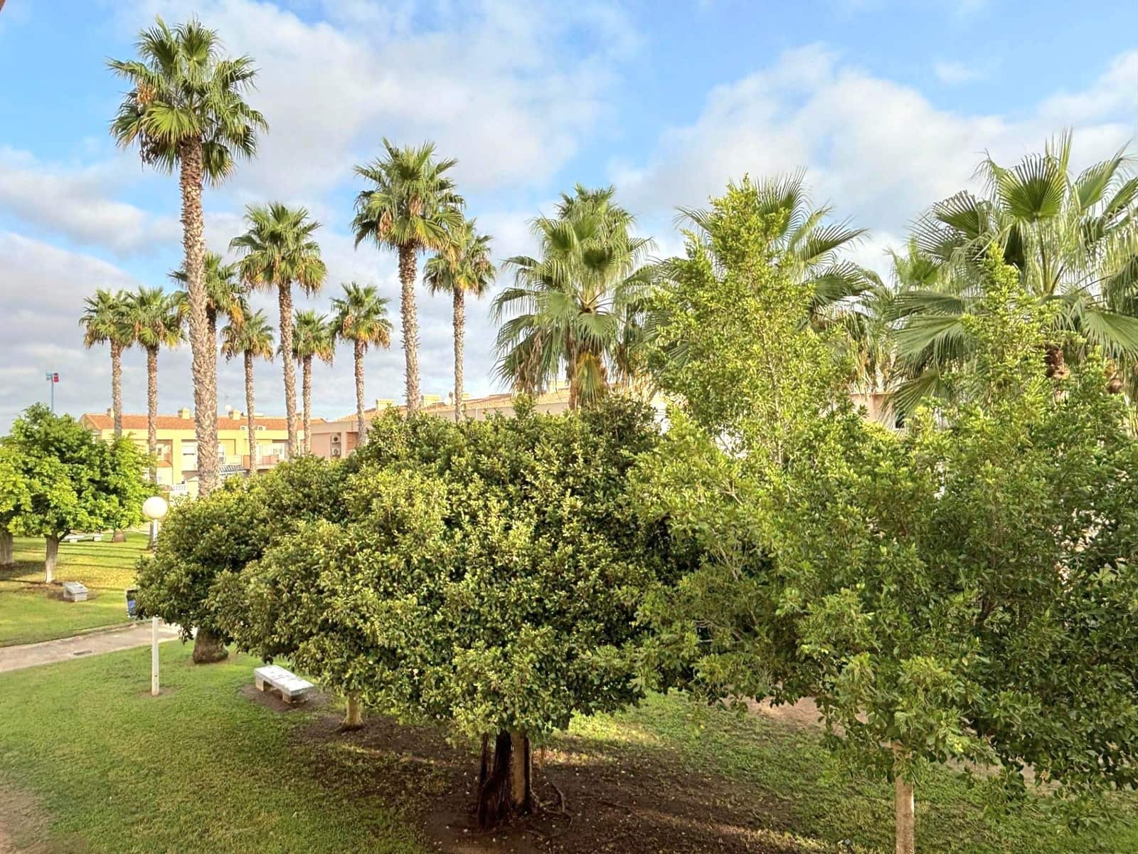 Pareado de 2 habitaciones en Torrevieja en venta con piscina - 150.000 € (Ref: 10048766)