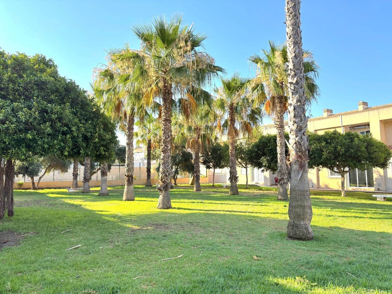 Pareado de 2 habitaciones en Torrevieja en venta con piscina - 150.000 € (Ref: 10048766)