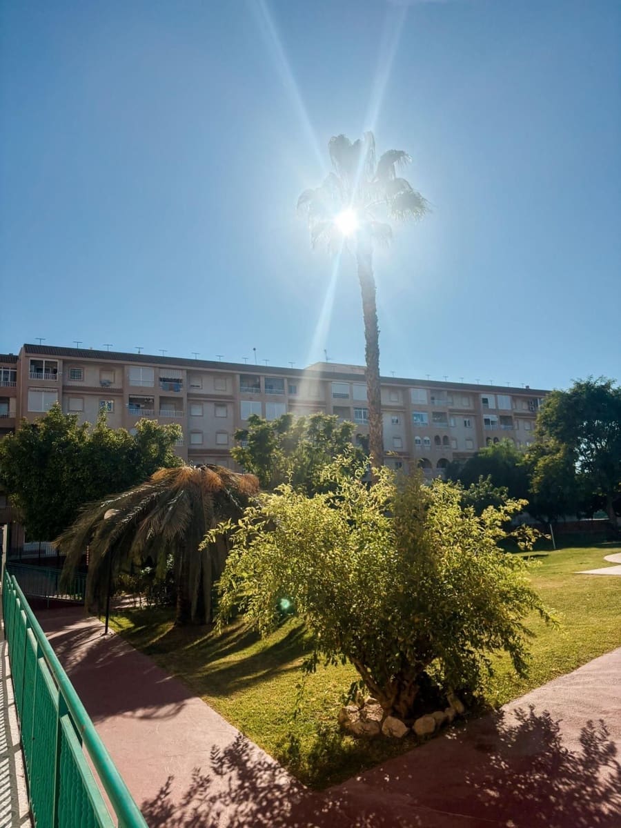 2 soverom Leilighet til salgs i Torrevieja med svømmebasseng - € 144 000 (Ref: 9640697)
