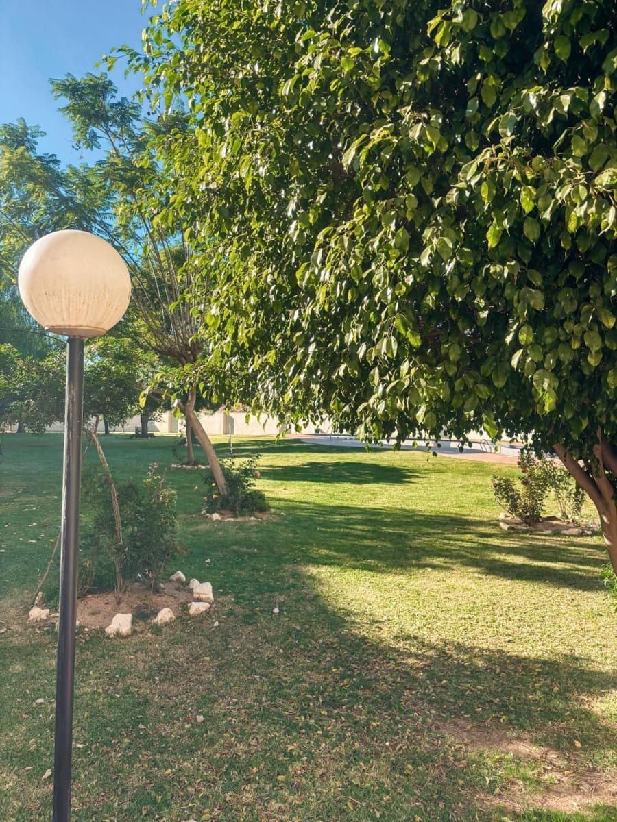 2 soverom Leilighet til salgs i Torrevieja med svømmebasseng - € 144 000 (Ref: 9640697)