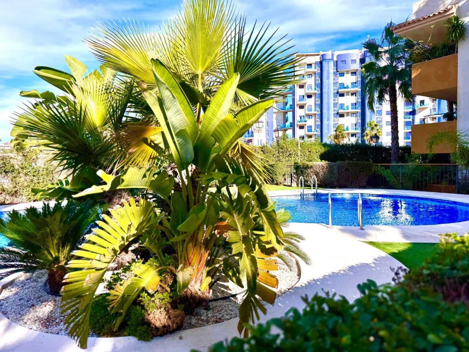 2 bedroom Apartment for sale in Torrevieja with pool garage - € 253,500 (Ref: 9640710)