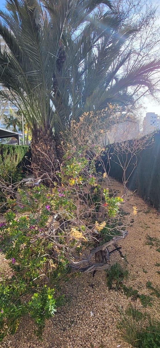 2 soveværelse Lejlighed til salg i Calpe / Calp med swimmingpool - € 369.000 (Ref: 9640736)