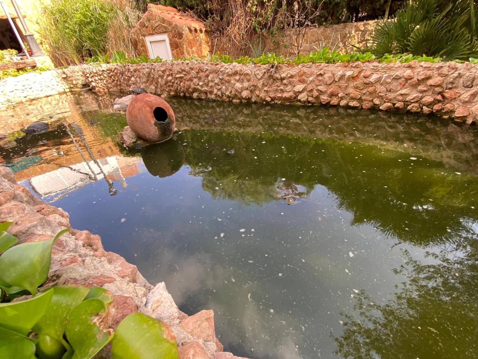 Chalet de 5 habitaciones en Torrevieja en venta con piscina garaje - 744.500 € (Ref: 9643795)