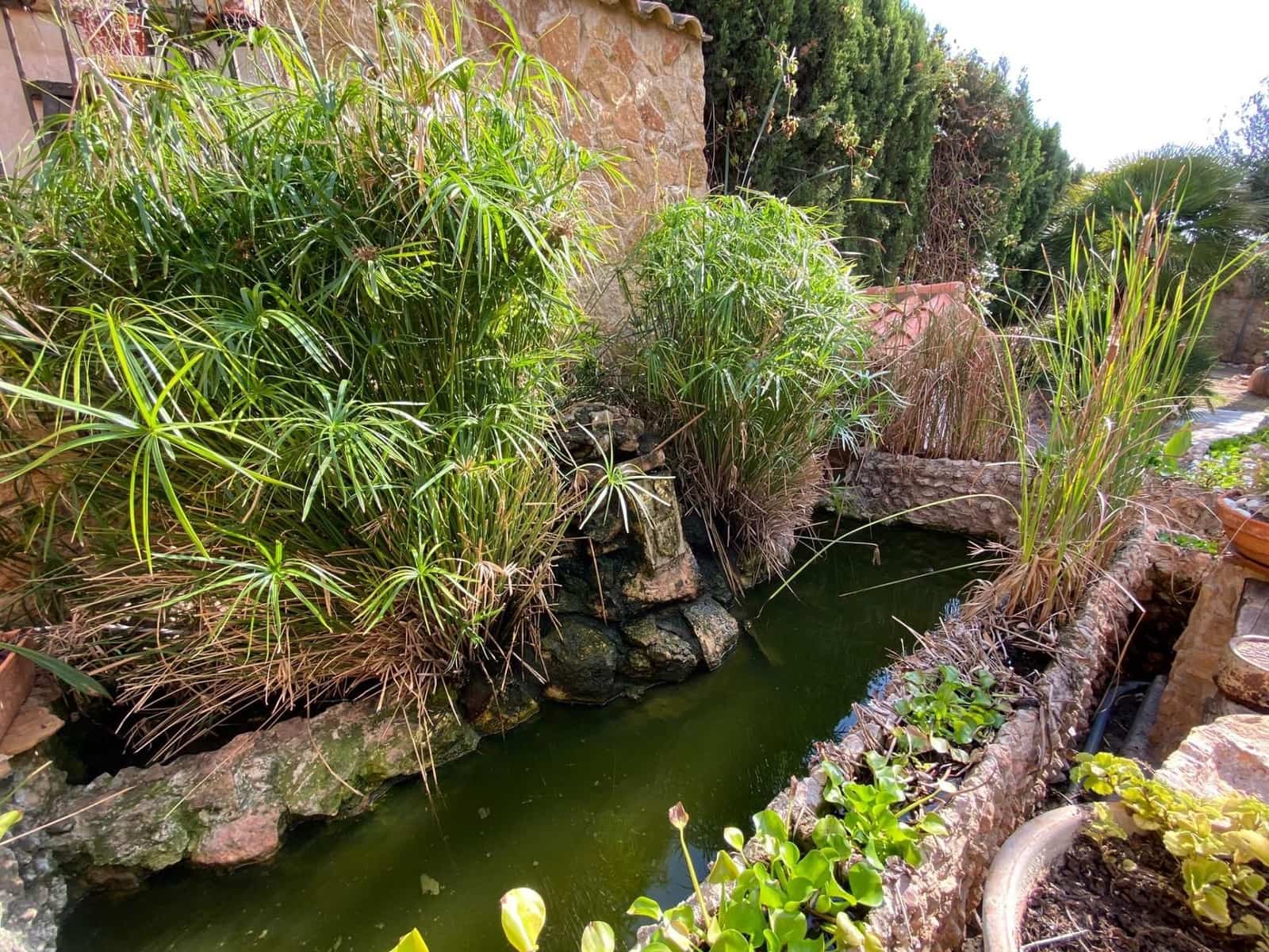 Chalet de 5 habitaciones en Torrevieja en venta con piscina garaje - 744.500 € (Ref: 9643795)