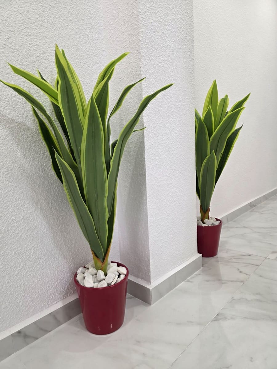 3 sypialnia Mieszkanie na sprzedaż w Torrevieja - 199 000 € (Ref: 9658374)