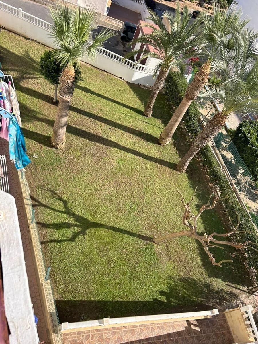 Estúdio para venda em Torrevieja com piscina garagem - 82 900 € (Ref: 9811277)