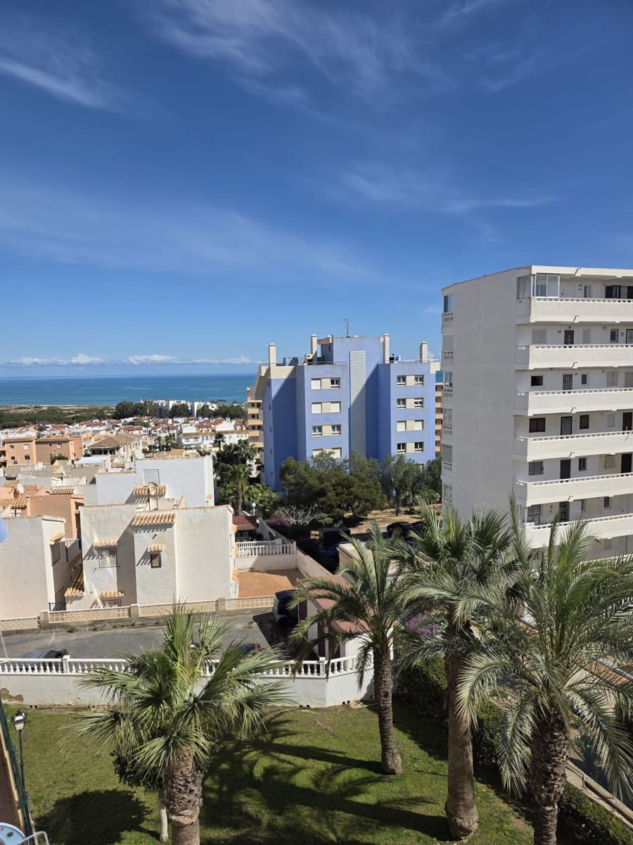 Studio for sale in Torrevieja with pool garage - € 82,900 (Ref: 9811279)