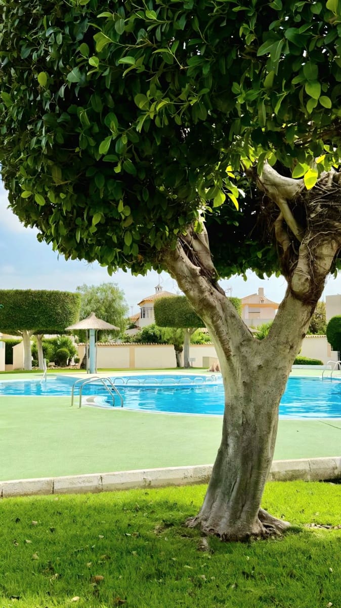 3 camera da letto Villetta Bifamiliare in vendita in Torrevieja con piscina - 182.000 € (Rif: 9891700)