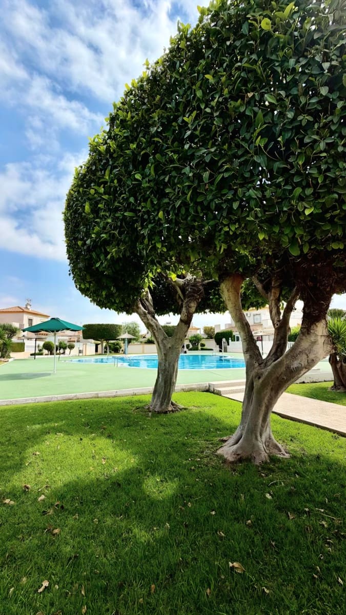 3 camera da letto Villetta Bifamiliare in vendita in Torrevieja con piscina - 182.000 € (Rif: 9891700)