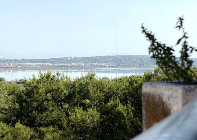 Studio til salg i Torrevieja med garage - € 69.900 (Ref: 9912526)