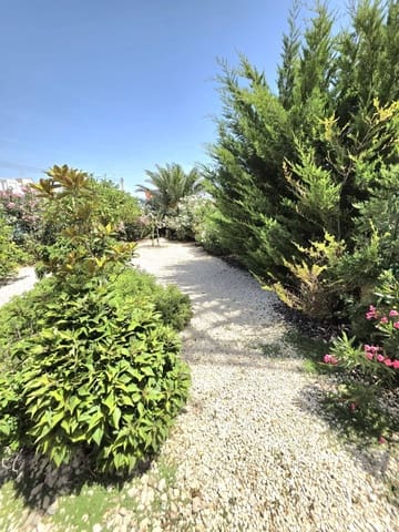 2 soverom Bungalow til salgs i Torrevieja med svømmebasseng - € 149 000 (Ref: 9945124)