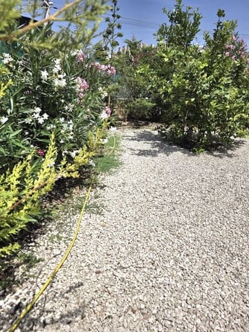 2 soverom Bungalow til salgs i Torrevieja med svømmebasseng - € 149 000 (Ref: 9945124)