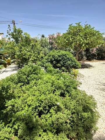 2 soverom Bungalow til salgs i Torrevieja med svømmebasseng - € 149 000 (Ref: 9945124)