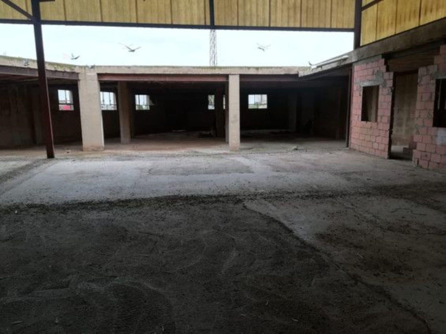 Local Comercial en Fuente Alamo de Murcia en venta - 180.000 € (Ref: 9777071)