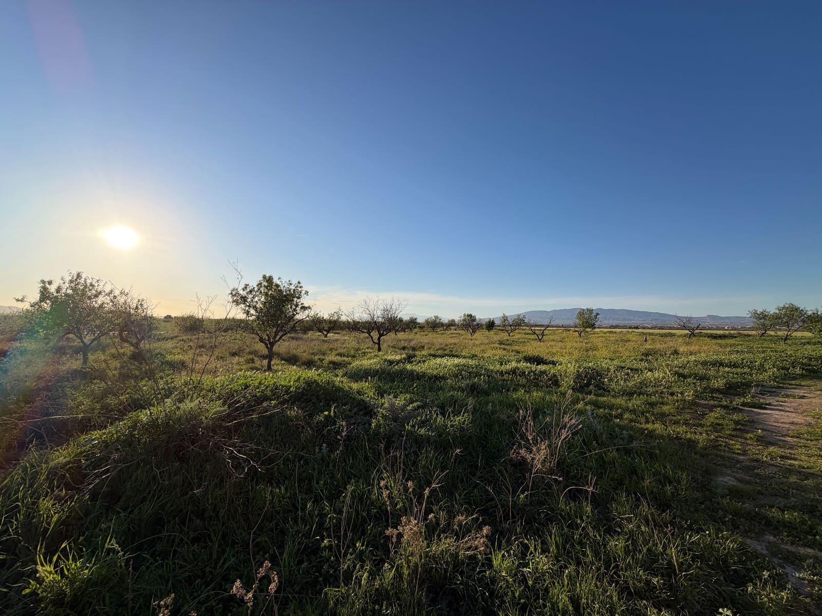 3 camera da letto Finca/Casa di Campagna in vendita in Fuente Alamo de Murcia con garage - 209.900 € (Rif: 9777690)