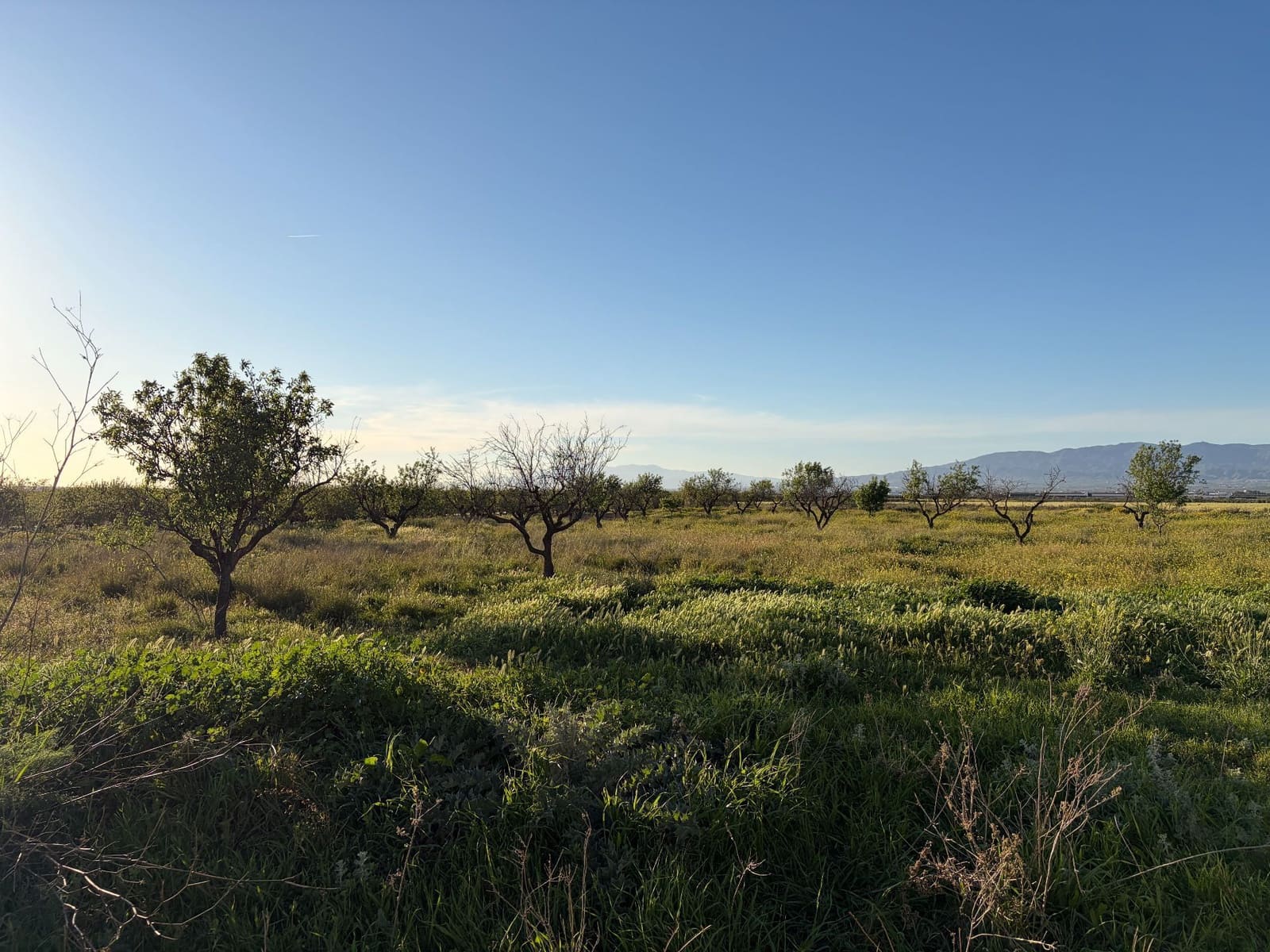 3 camera da letto Finca/Casa di Campagna in vendita in Fuente Alamo de Murcia con garage - 209.900 € (Rif: 9777690)