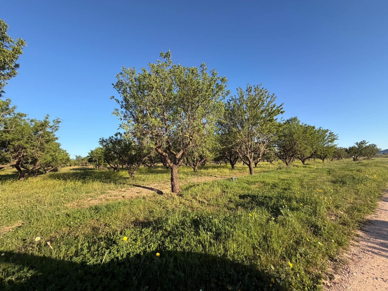 3 camera da letto Finca/Casa di Campagna in vendita in Fuente Alamo de Murcia con garage - 209.900 € (Rif: 9777690)