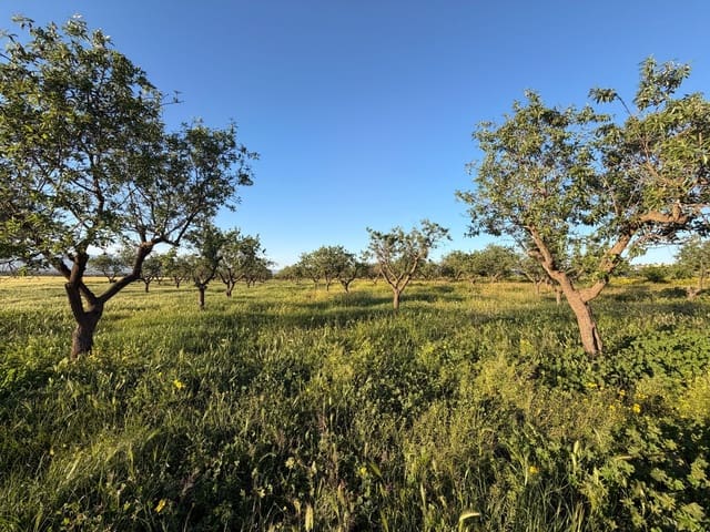 Finca/Casa Rural de 3 habitaciones en Fuente Alamo de Murcia en venta con garaje - 209.900 € (Ref: 9777690)